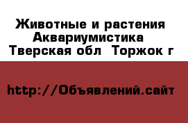 Животные и растения Аквариумистика. Тверская обл.,Торжок г.